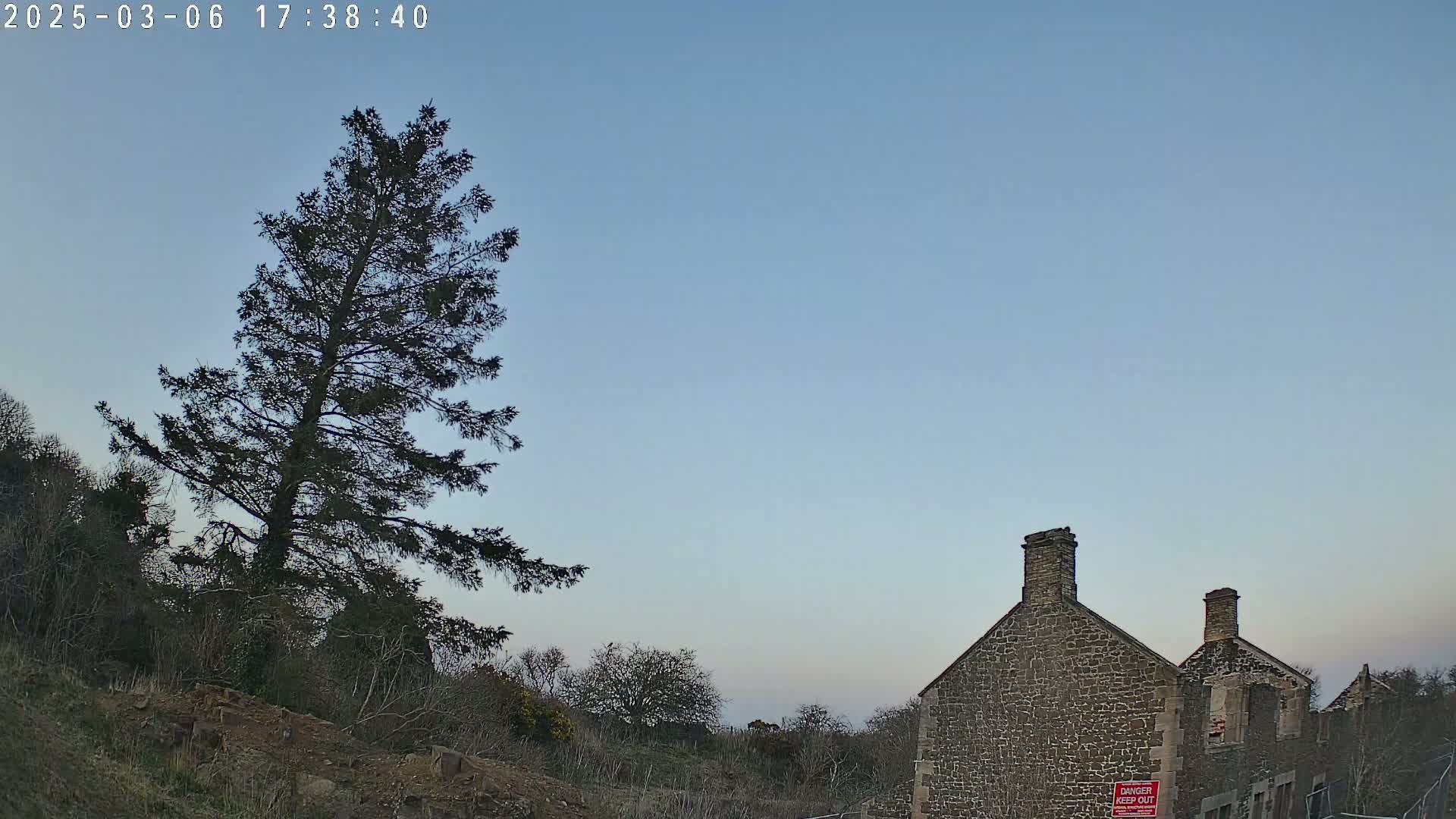 A tall evergreen tree stands to the left of a stone building under a clear, twilight sky.