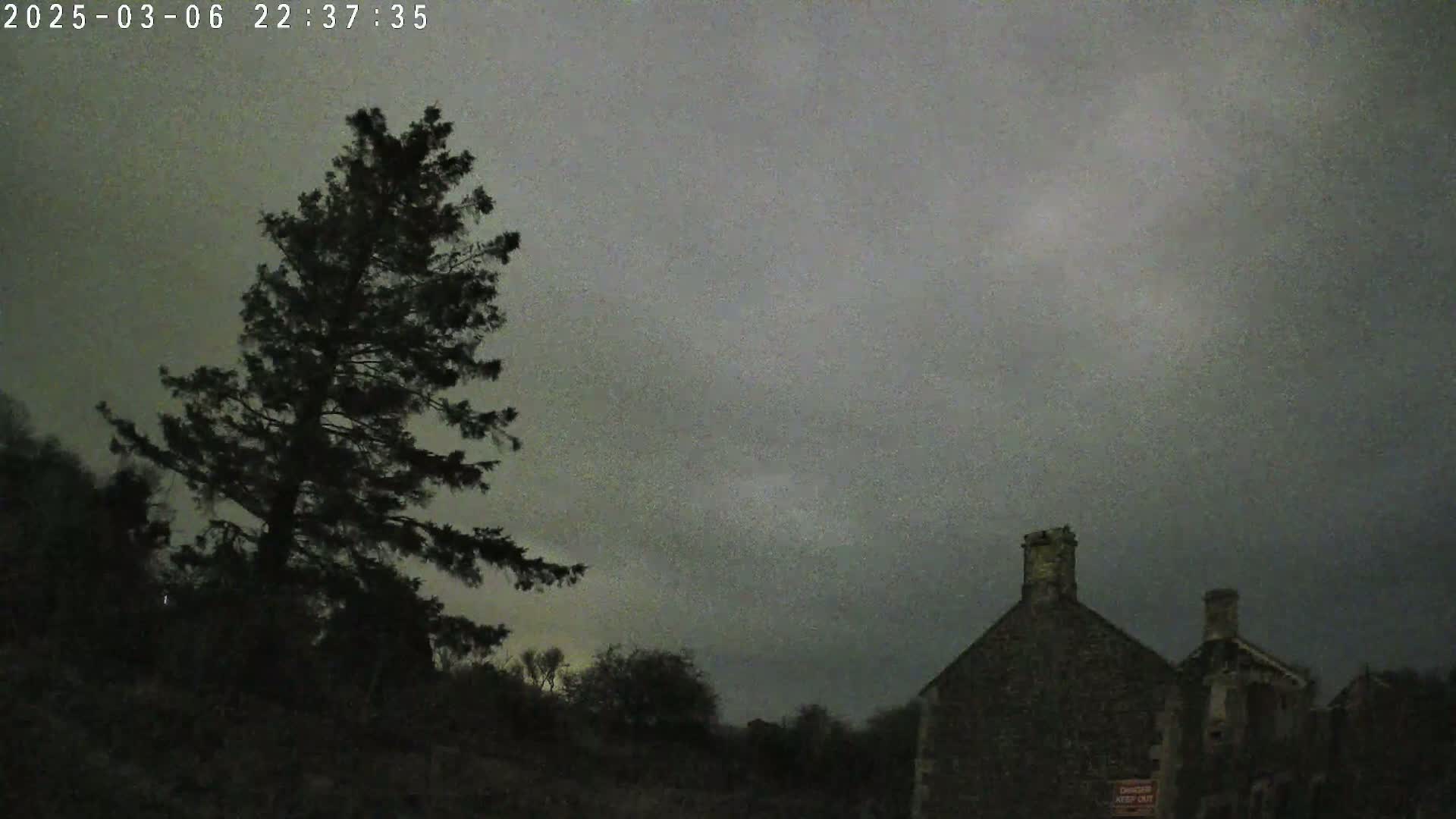 A tall, dark pine tree stands to the left of a stone building under a cloudy, overcast night sky.