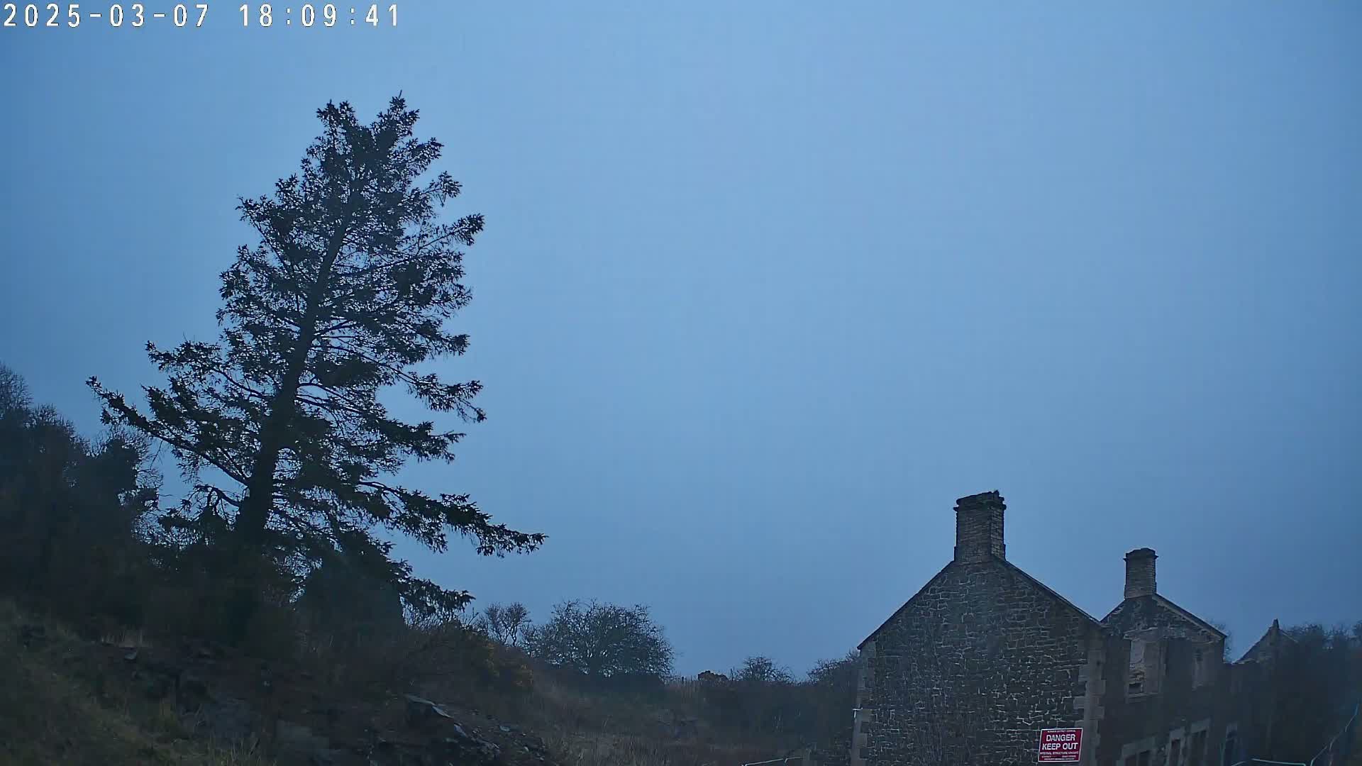 A tall, dark evergreen tree stands to the left of a stone building under a hazy, light-blue sky.
