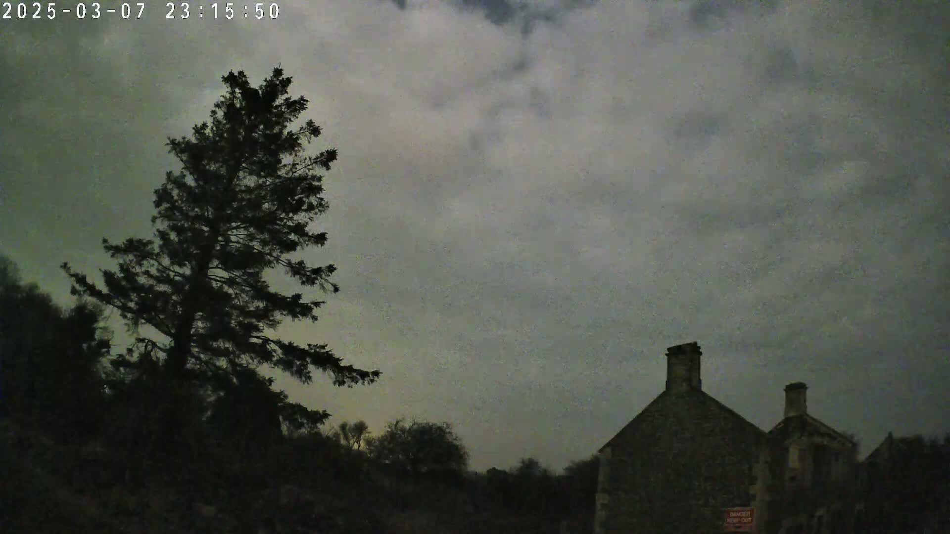 A tall, dark evergreen tree stands to the left of a stone building under a cloudy, night sky.