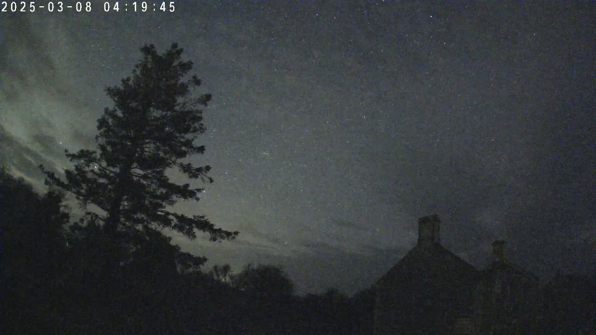 A tall, dark tree stands silhouetted against a night sky filled with stars and thin clouds.  A dark building is partially visible in the lower right corner.