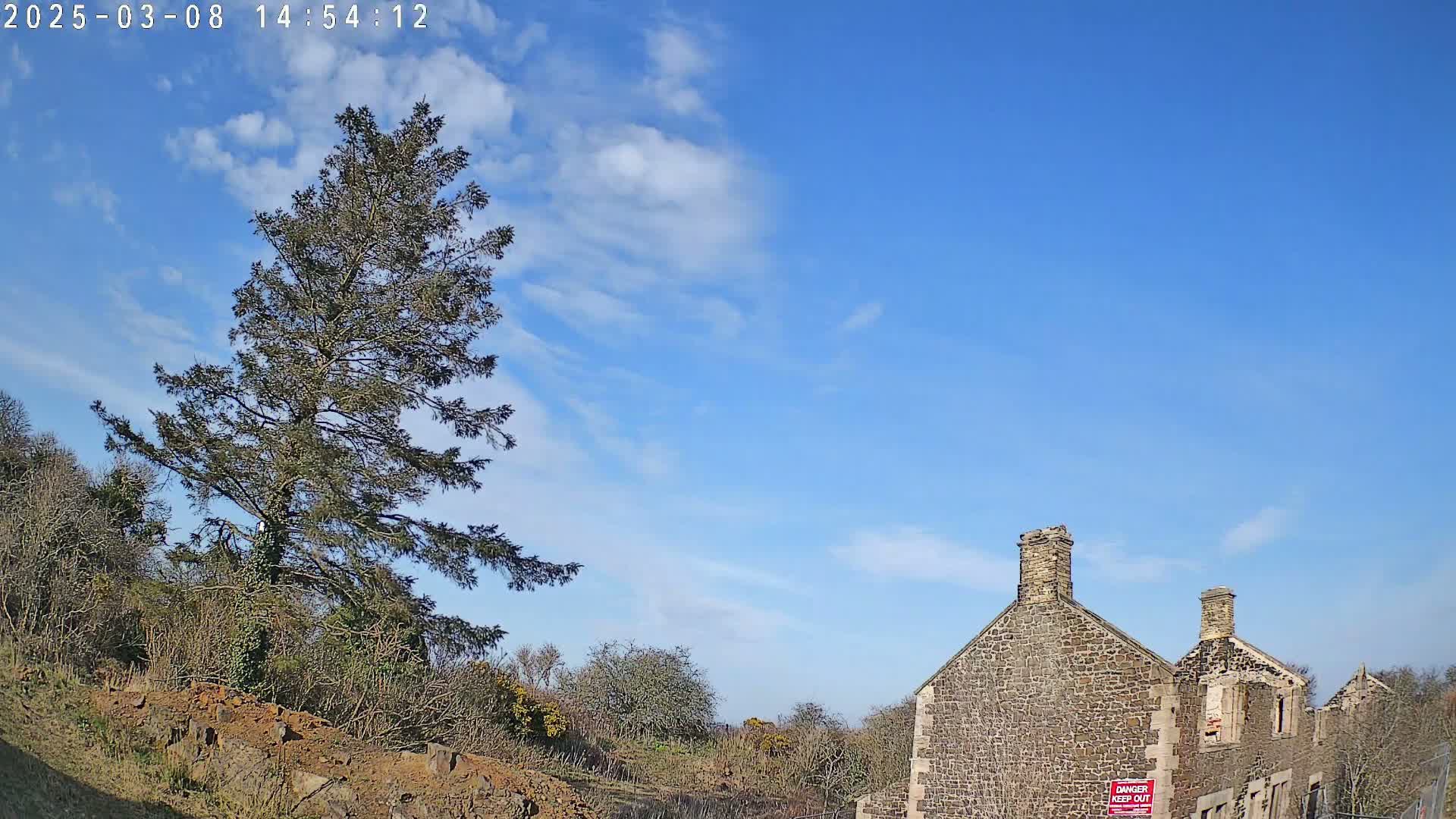 A tall evergreen tree stands to the left of a partially ruined stone building under a mostly clear, blue sky with a few scattered clouds.