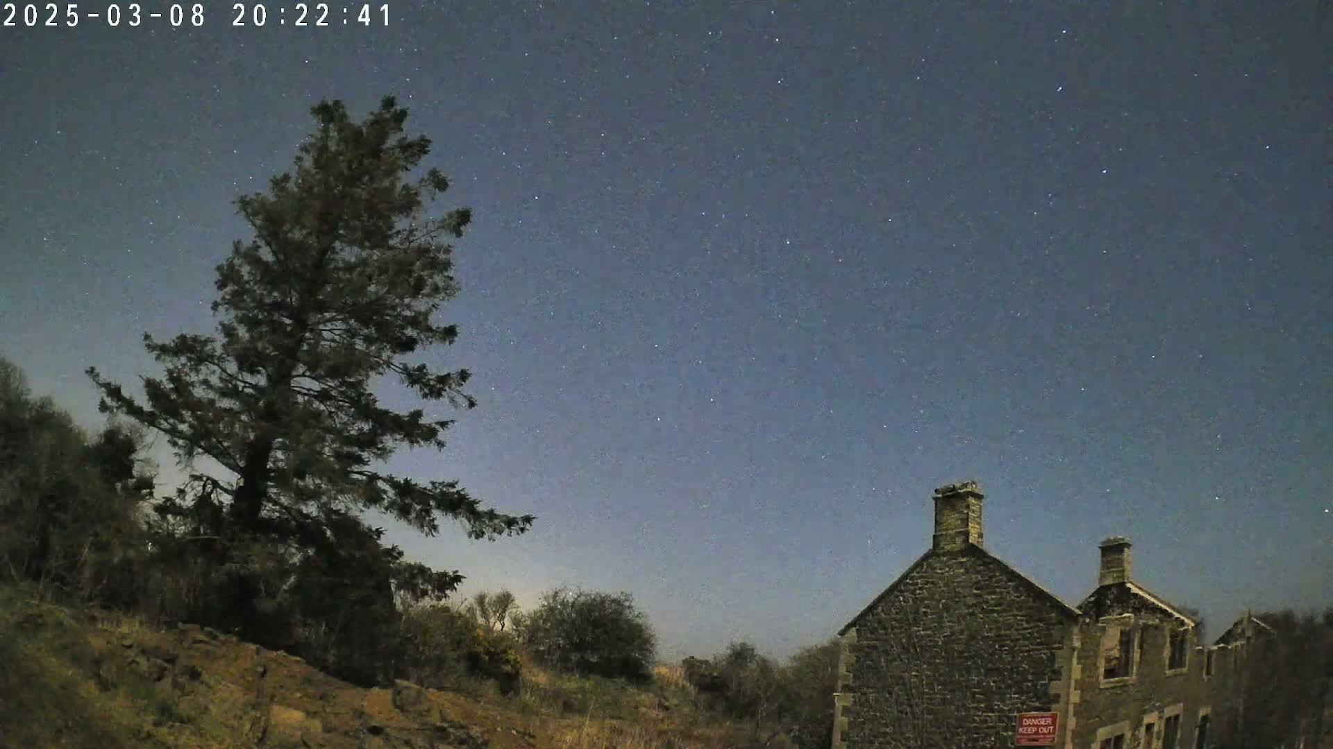 A tall, dark evergreen tree stands to the left of a stone building under a clear, starry night sky.