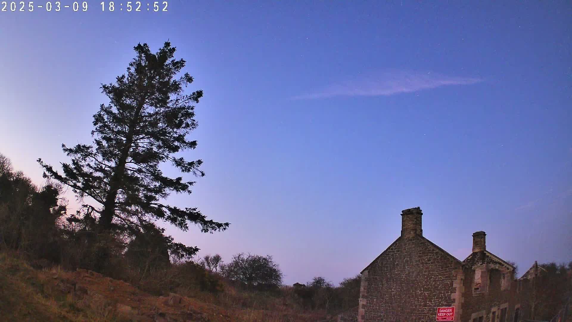 Under a twilight sky, a tall, dark pine tree stands to the left of a partially ruined stone building.