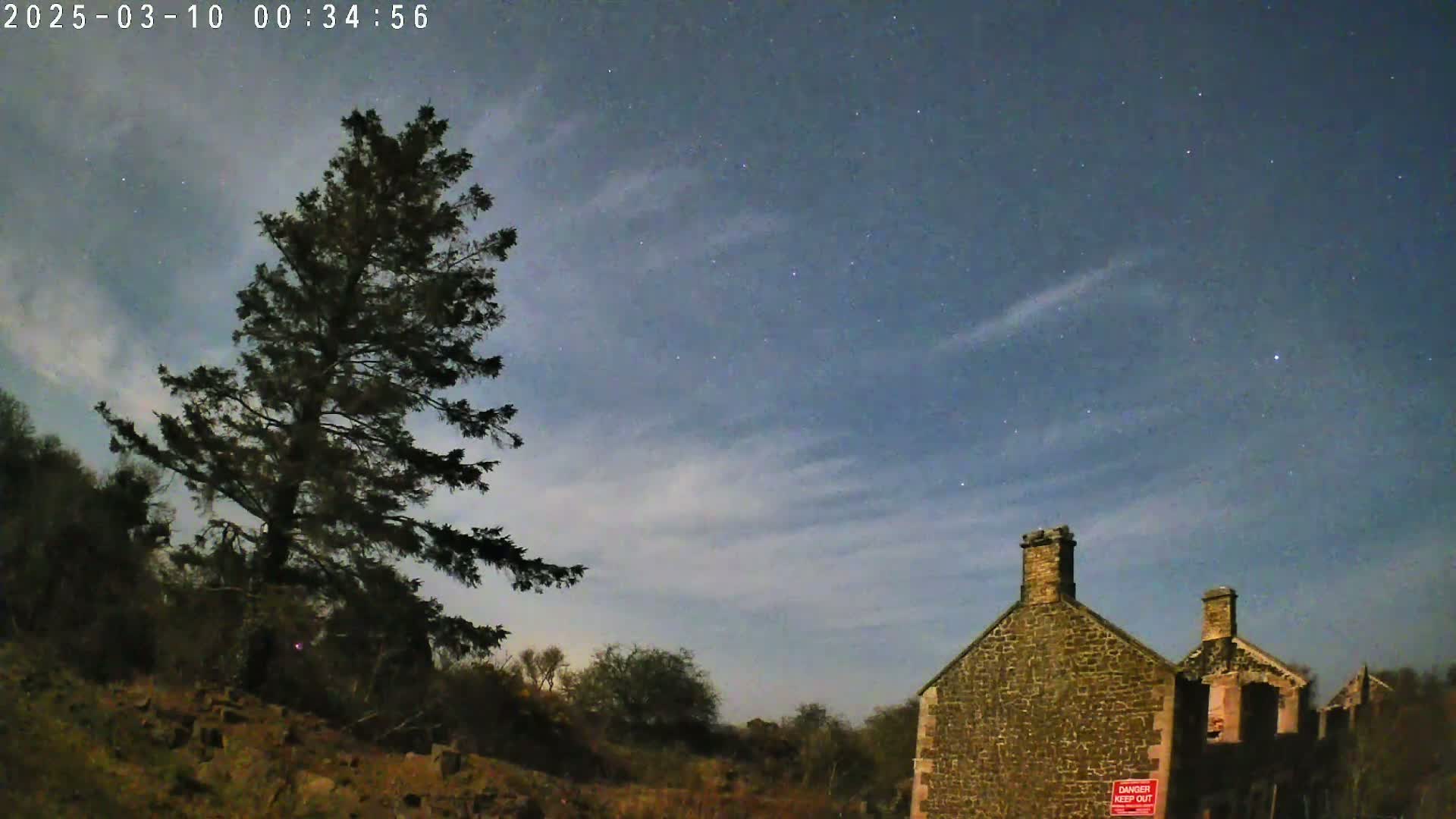 A tall evergreen tree stands to the left of a partially ruined stone building under a night sky with clouds and stars.