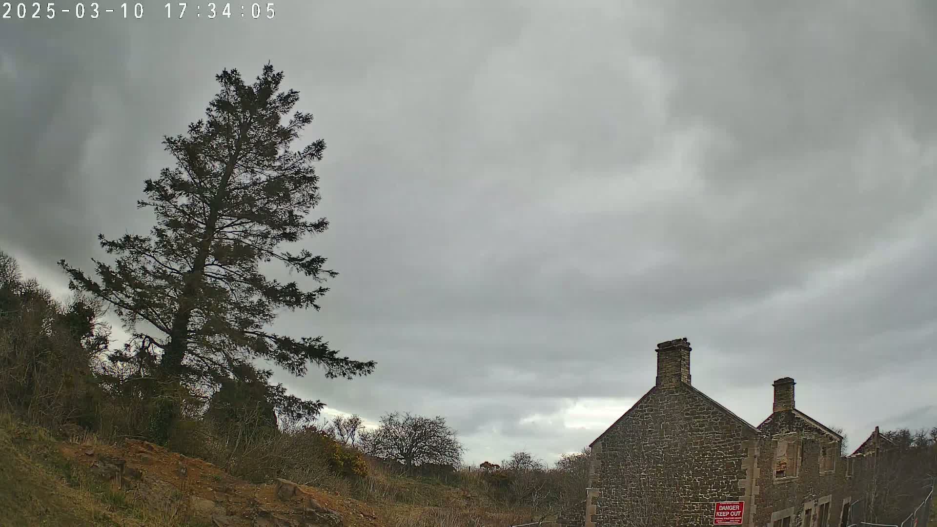 A tall evergreen tree stands to the left of a stone building under an overcast sky.