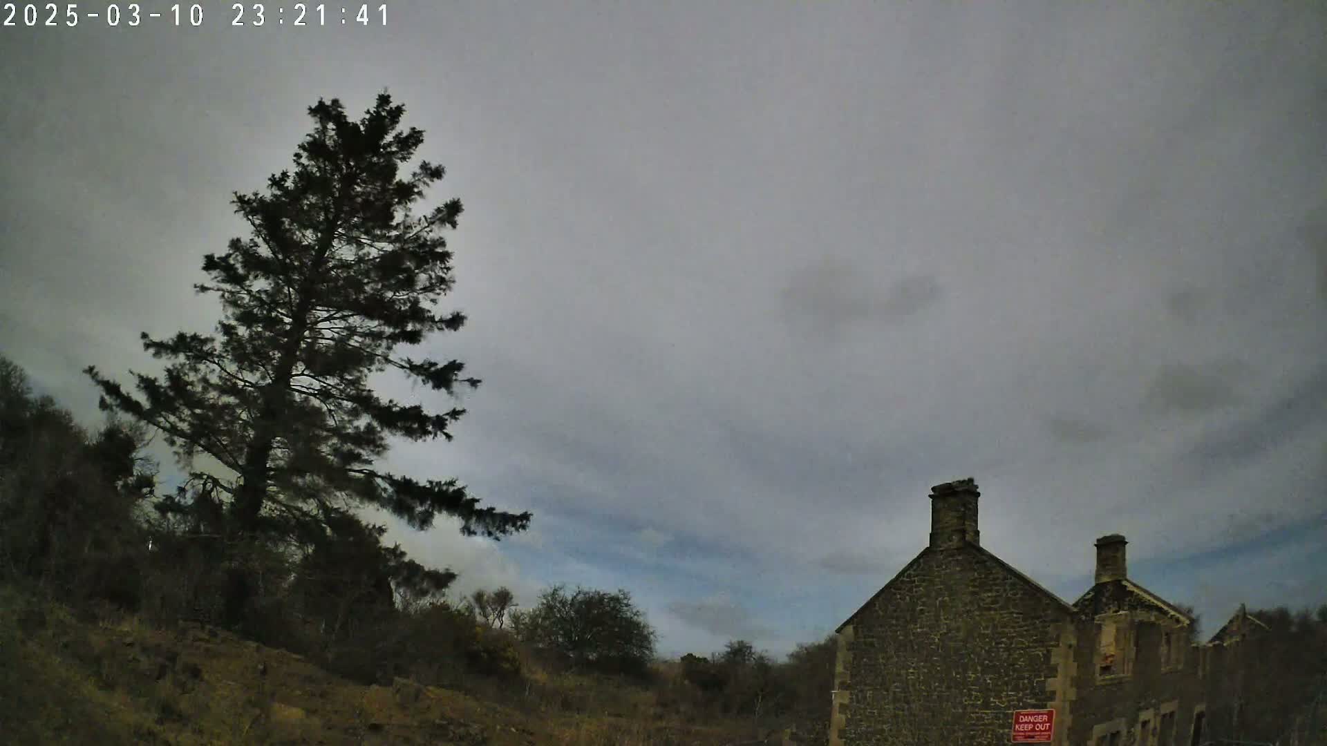 A tall, dark pine tree stands to the left of a partially ruined stone building under an overcast sky.