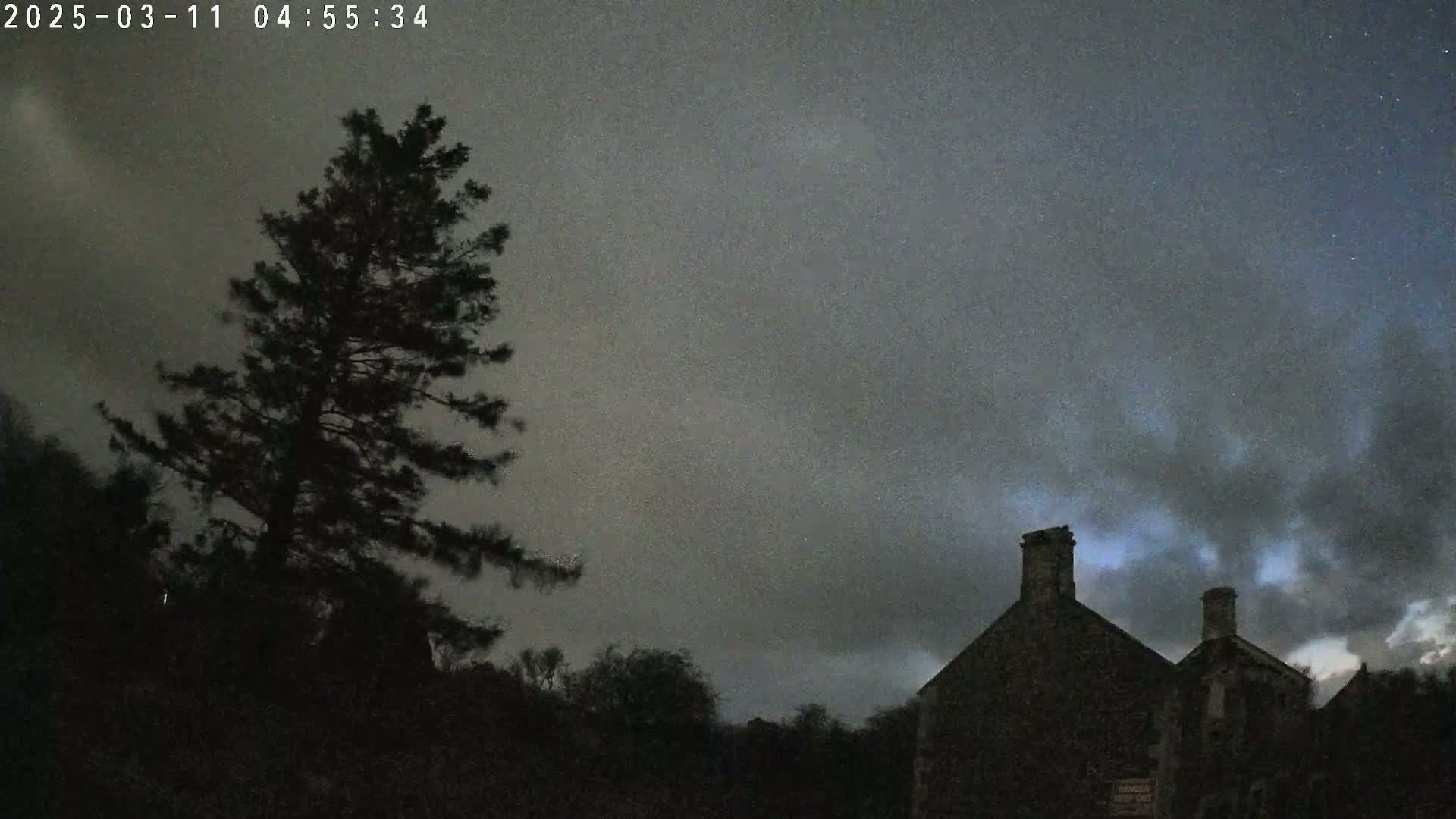 A tall, dark evergreen tree stands in front of a low, dark building under a mostly cloudy night sky.