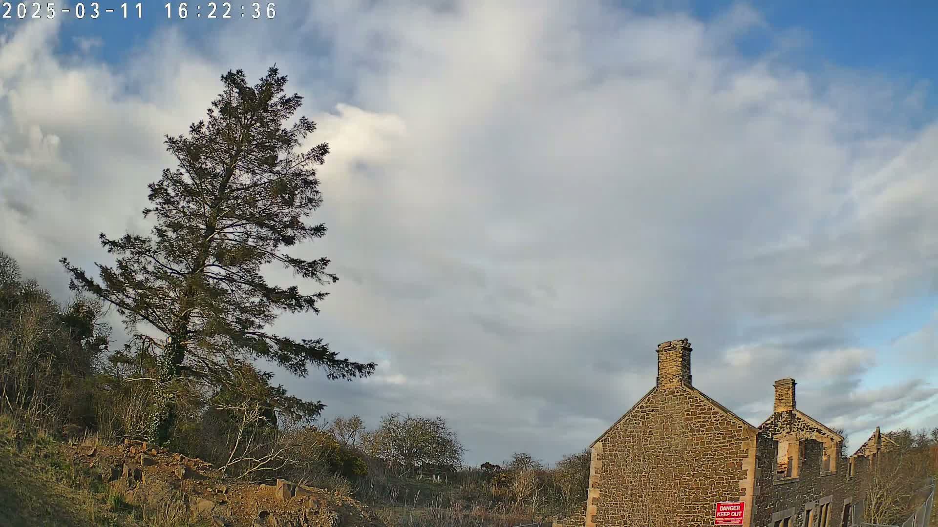 A tall pine tree stands to the left of a partially ruined stone building under a partly cloudy sky.