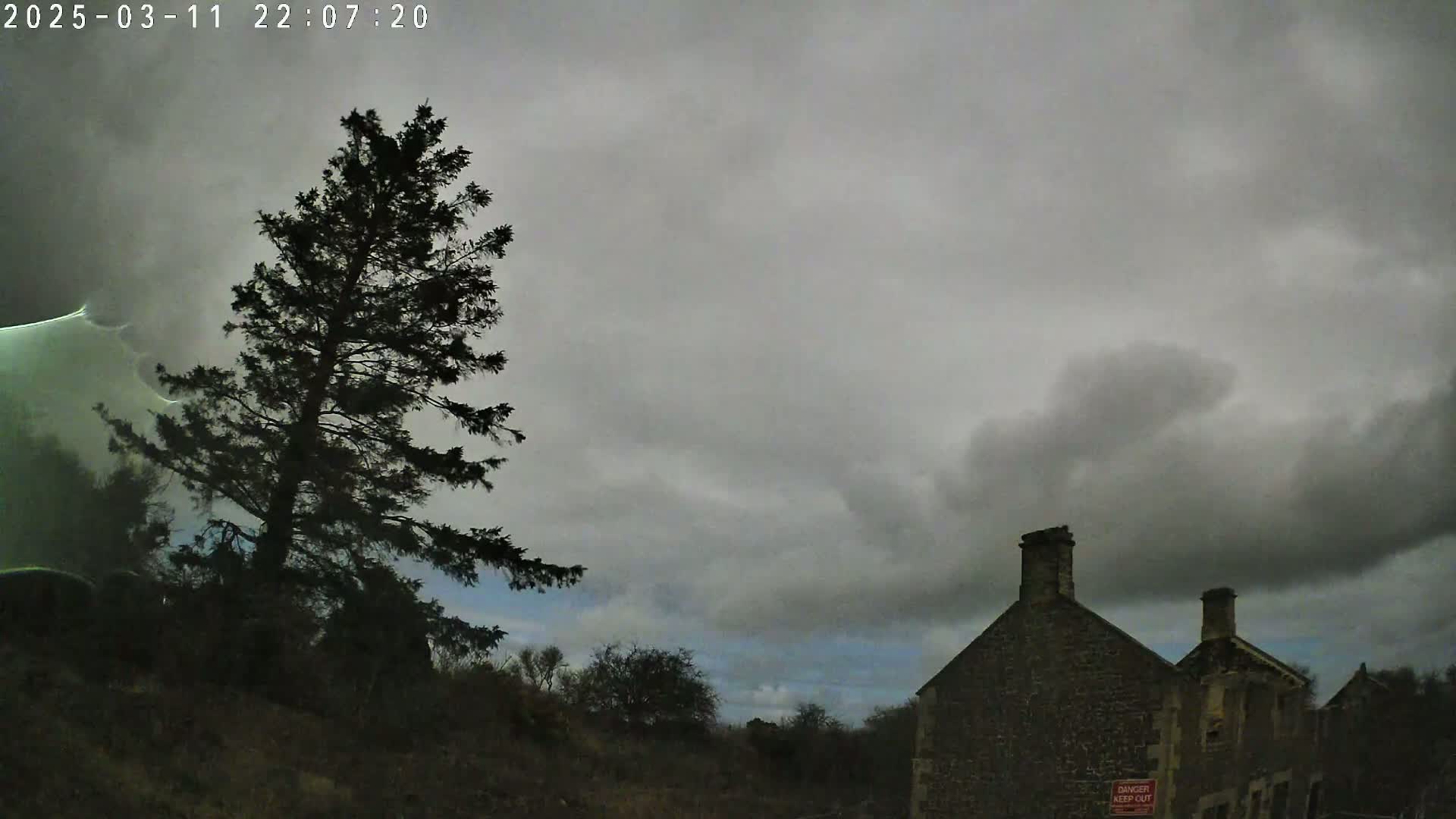 A tall, dark evergreen tree stands to the left of a stone building under a cloudy, overcast sky.
