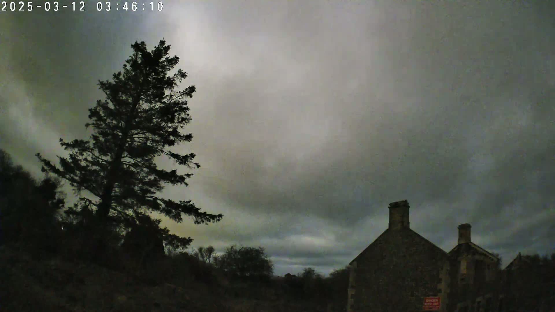 A tall, dark evergreen tree stands to the left of a stone building under a cloudy, overcast sky.