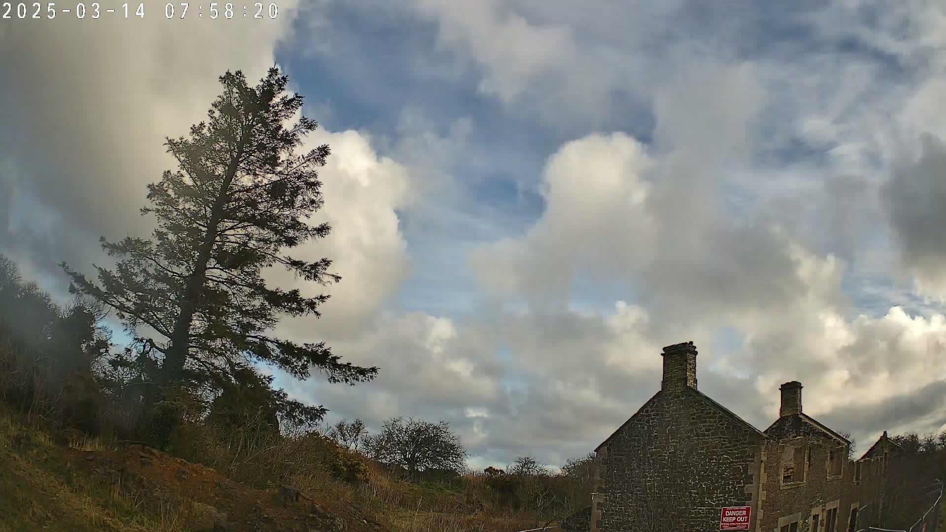 A tall evergreen tree stands on a hillside under a partly cloudy sky, near a stone building with two chimneys.