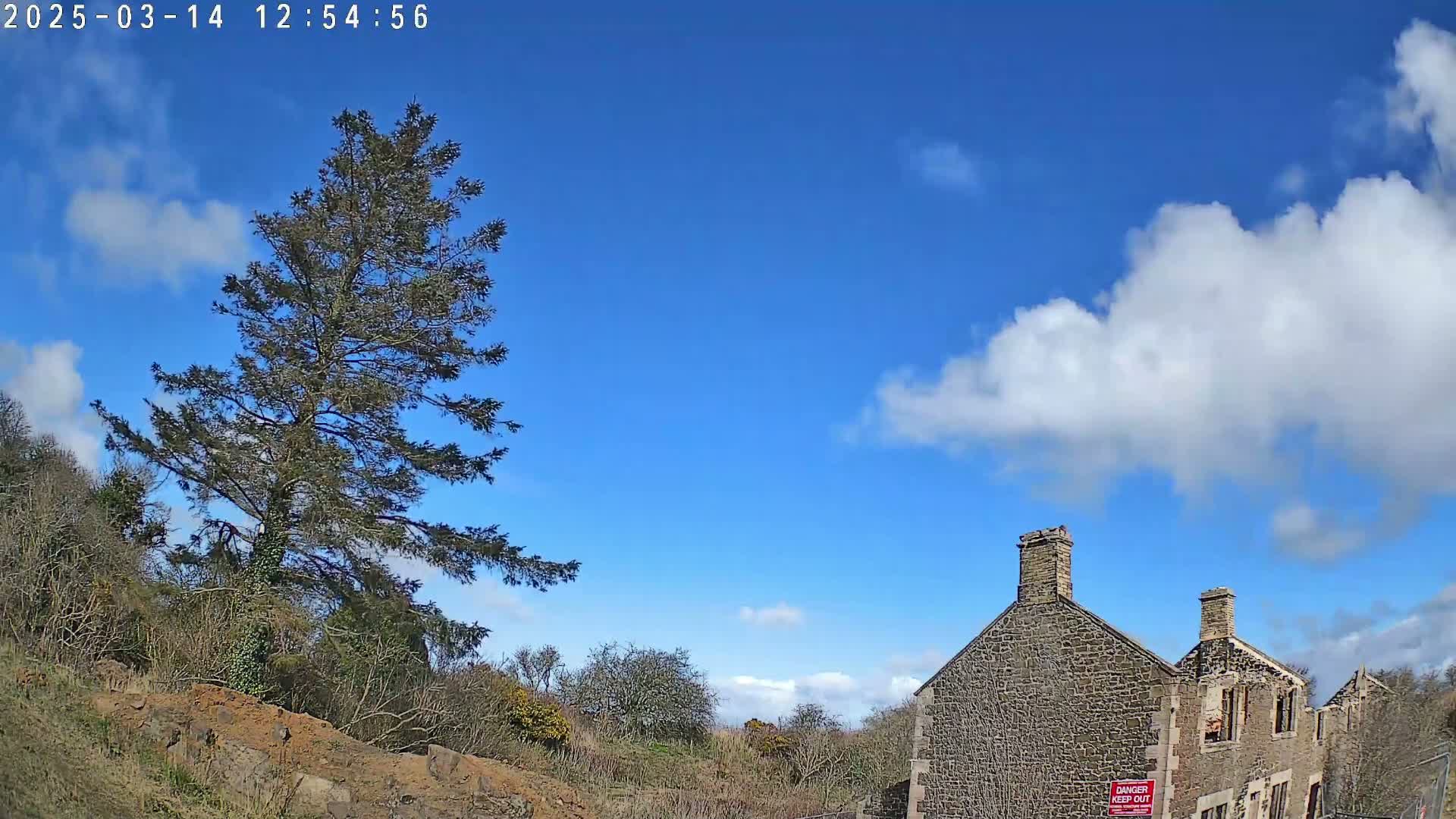 A tall evergreen tree stands to the left of a partially ruined stone building under a mostly sunny sky with scattered cumulus clouds.