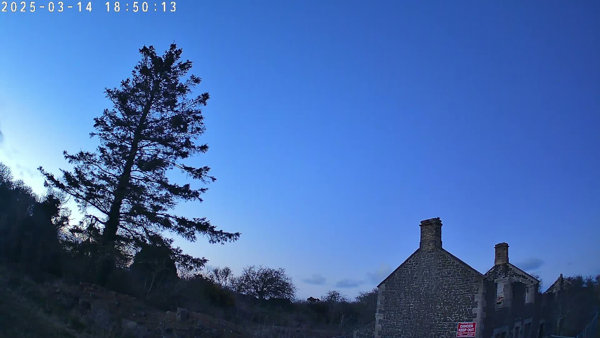 A tall, dark evergreen tree stands to the left of a stone building under a clear, twilight blue sky.