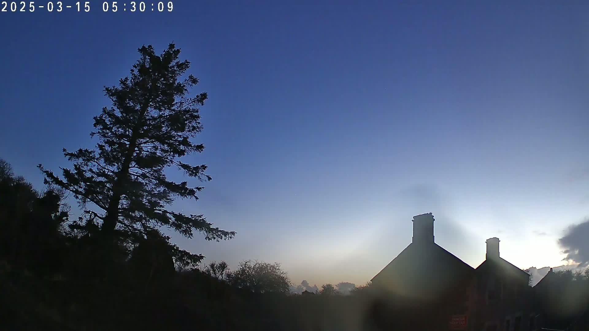 A tall, dark evergreen tree stands in the foreground next to a silhouetted building with two chimneys under a clear, twilight blue sky.