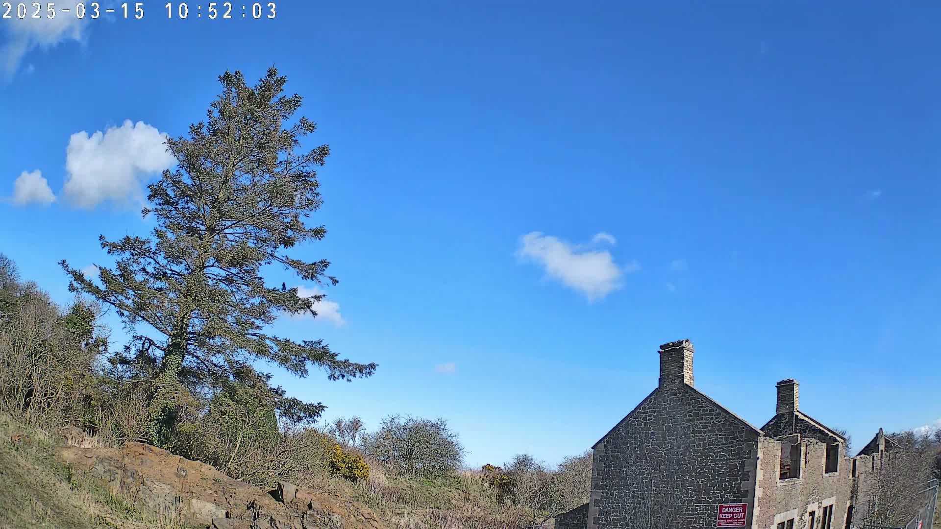 A tall evergreen tree stands beside a partially ruined stone building under a mostly clear blue sky with a few scattered clouds.