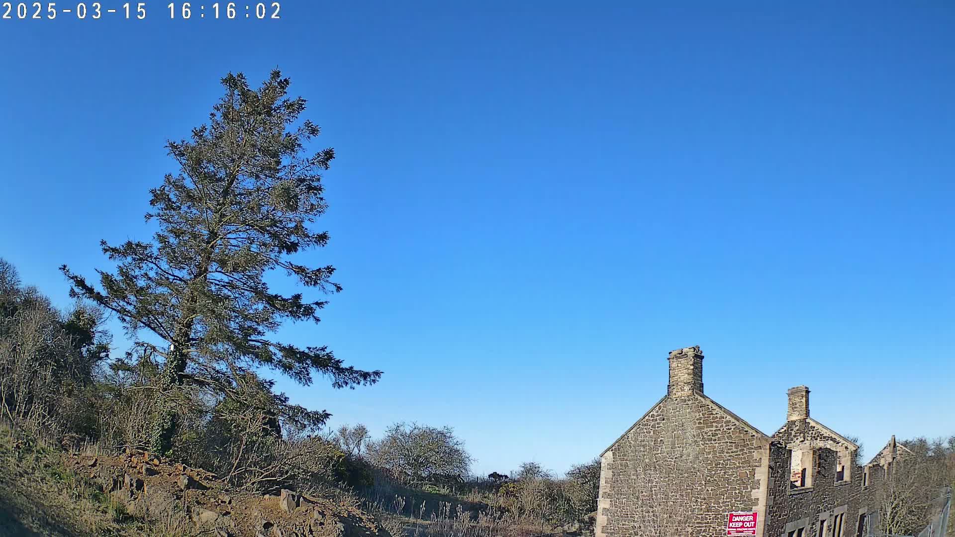A tall evergreen tree stands to the left of a partially ruined stone building under a clear blue sky.