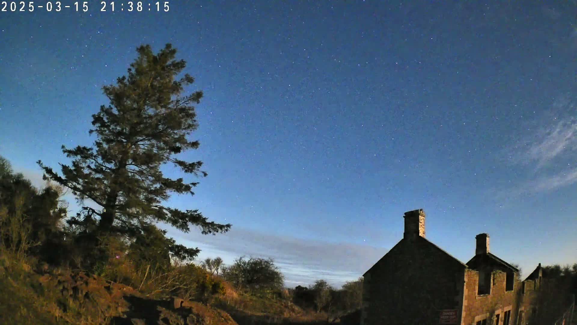 Under a clear, starry night sky, a tall evergreen tree stands beside a partially ruined stone building.