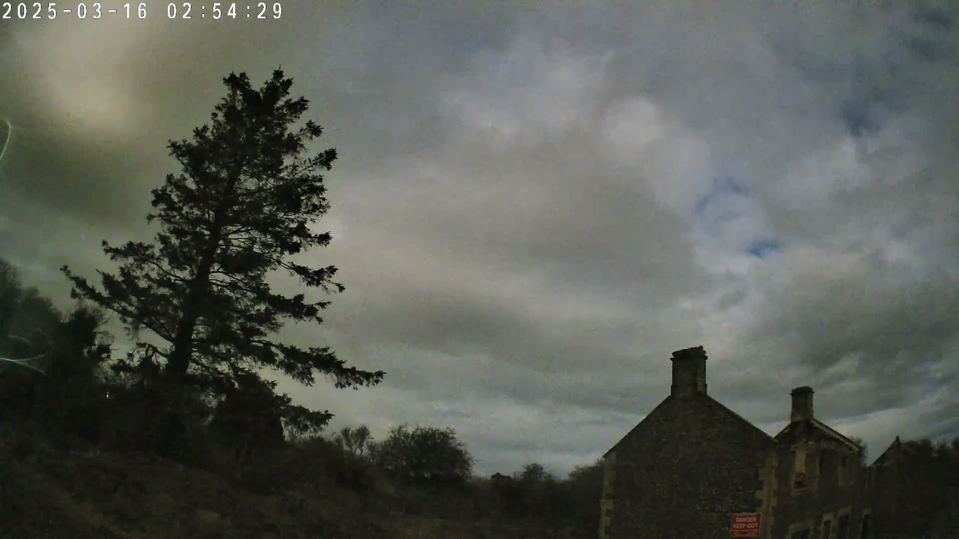 A tall, dark evergreen tree stands to the left of a stone building under a cloudy sky.