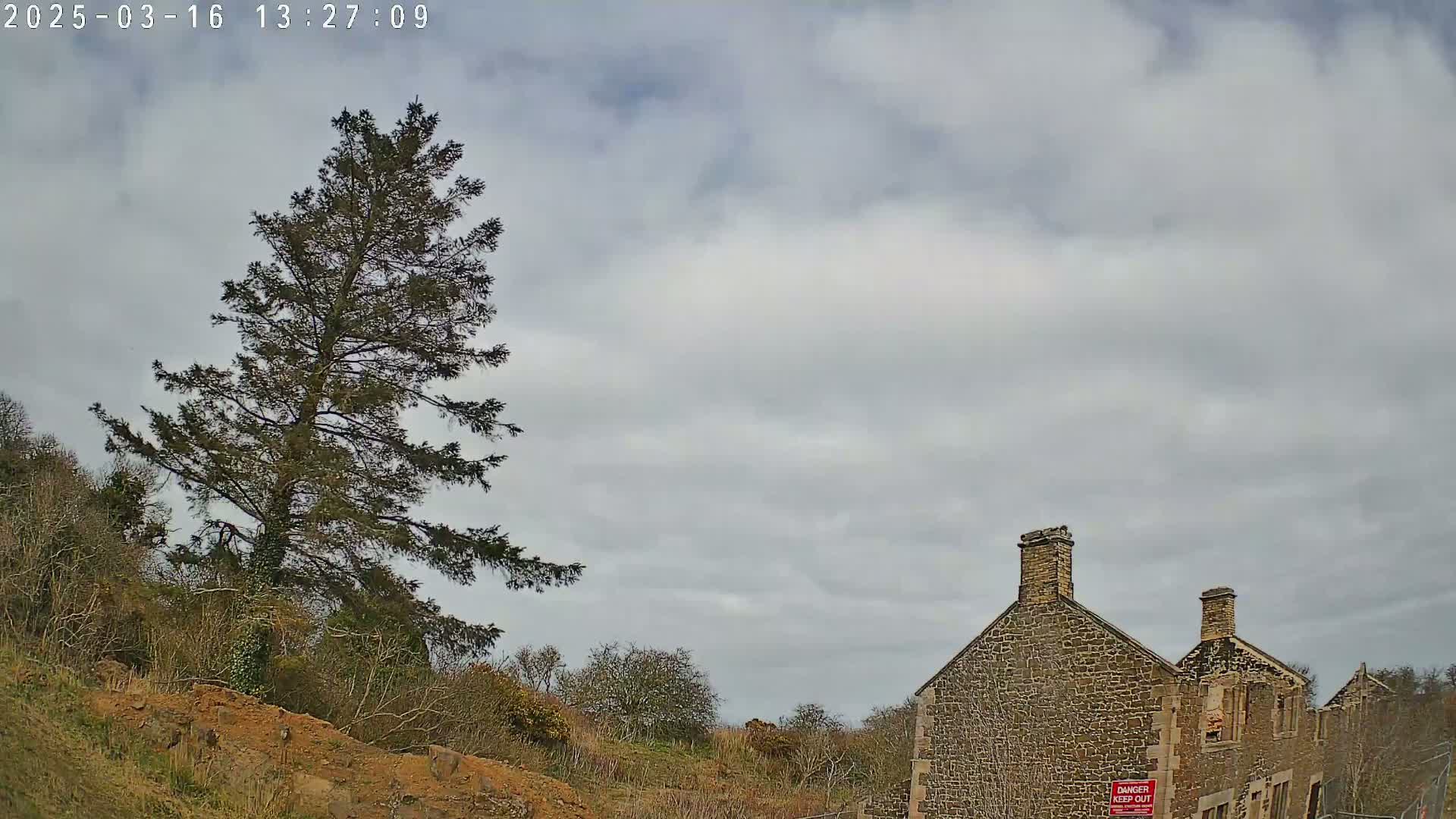 A tall, dark evergreen tree stands on a hillside to the left of a stone building under a mostly cloudy sky.