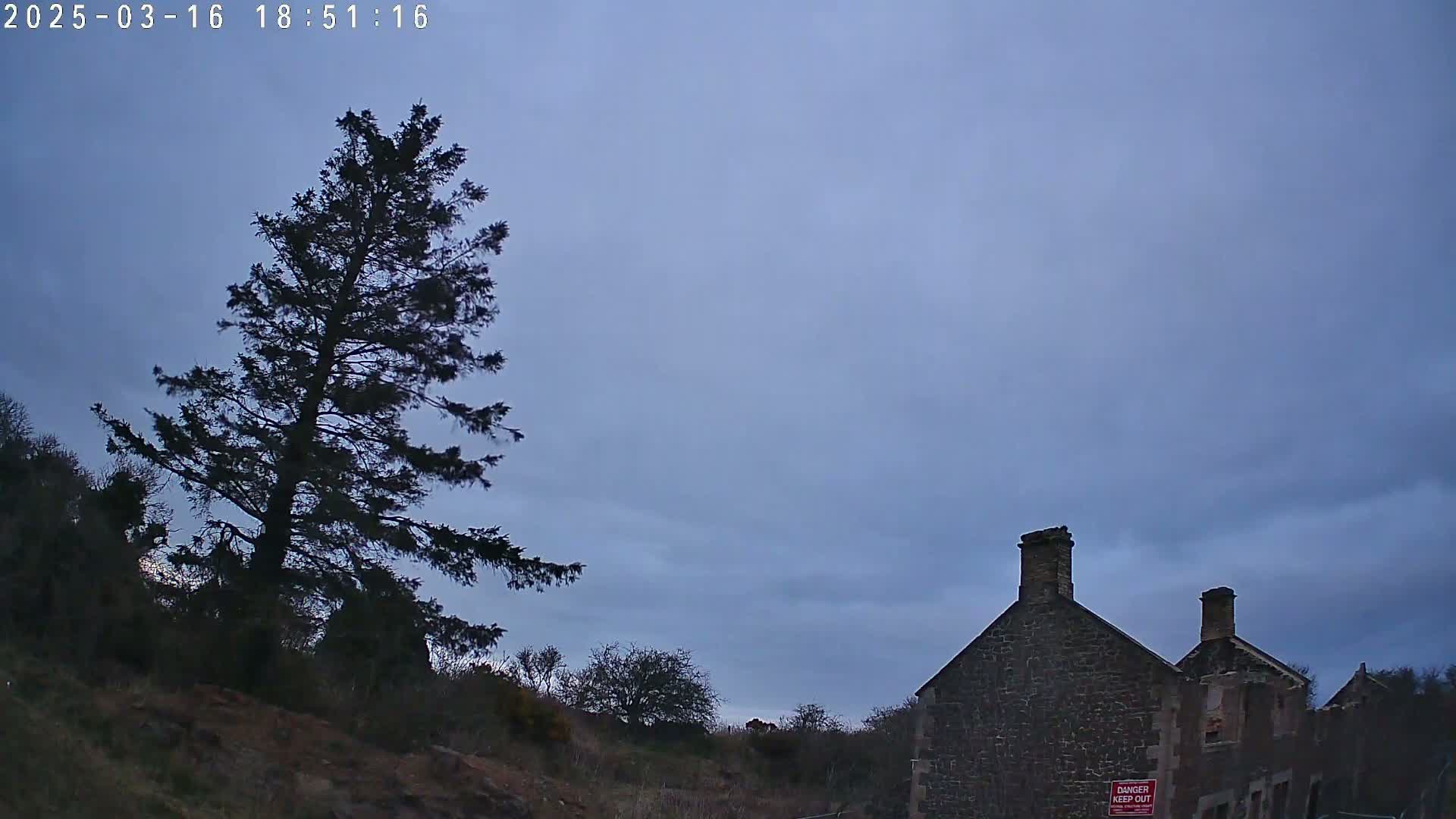 A tall, dark evergreen tree stands to the left of a partially ruined stone building under a mostly cloudy, dusky blue sky.
