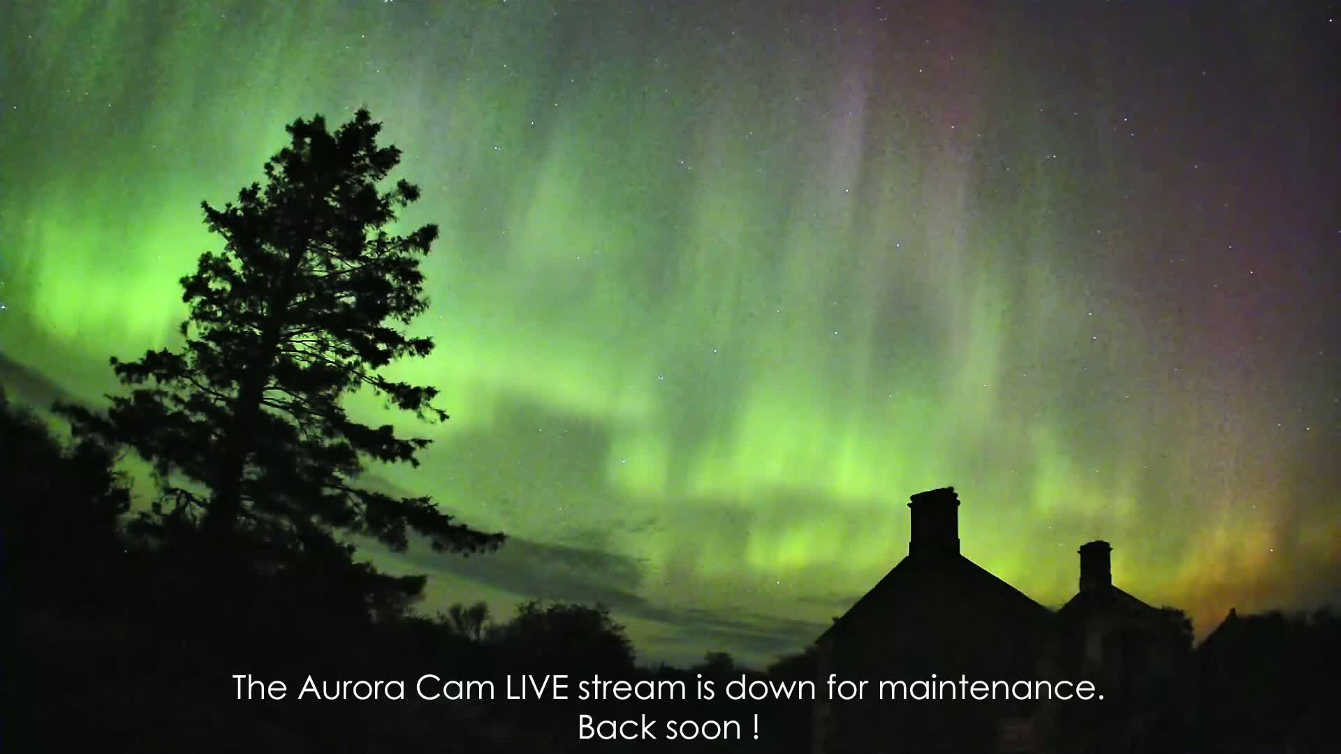 A nighttime scene shows a vibrant green and purple aurora borealis illuminating the sky above a silhouetted tree and house.