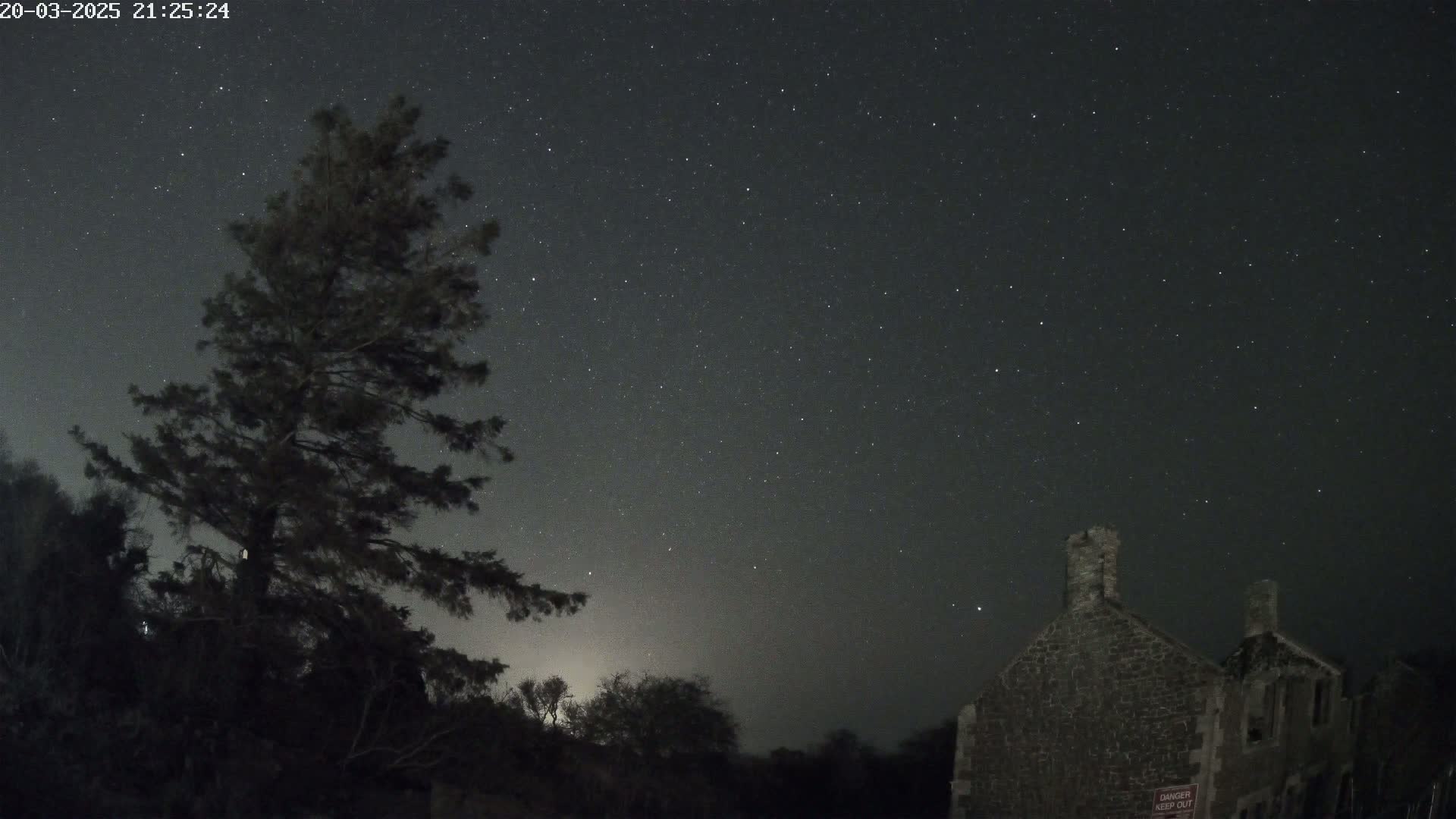 Under a clear, starry night sky, a tall, dark tree stands beside a stone ruin.