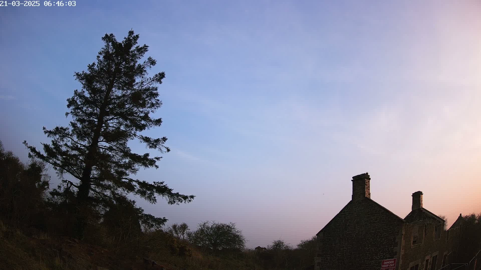 A tall, dark evergreen tree stands to the left of a stone building under a twilight sky.