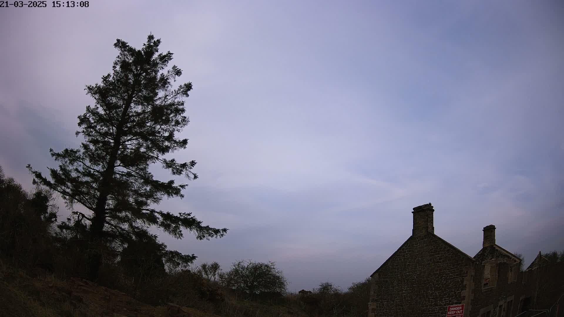 A tall, dark evergreen tree stands to the left of a stone building under a pale, cloudy sky.