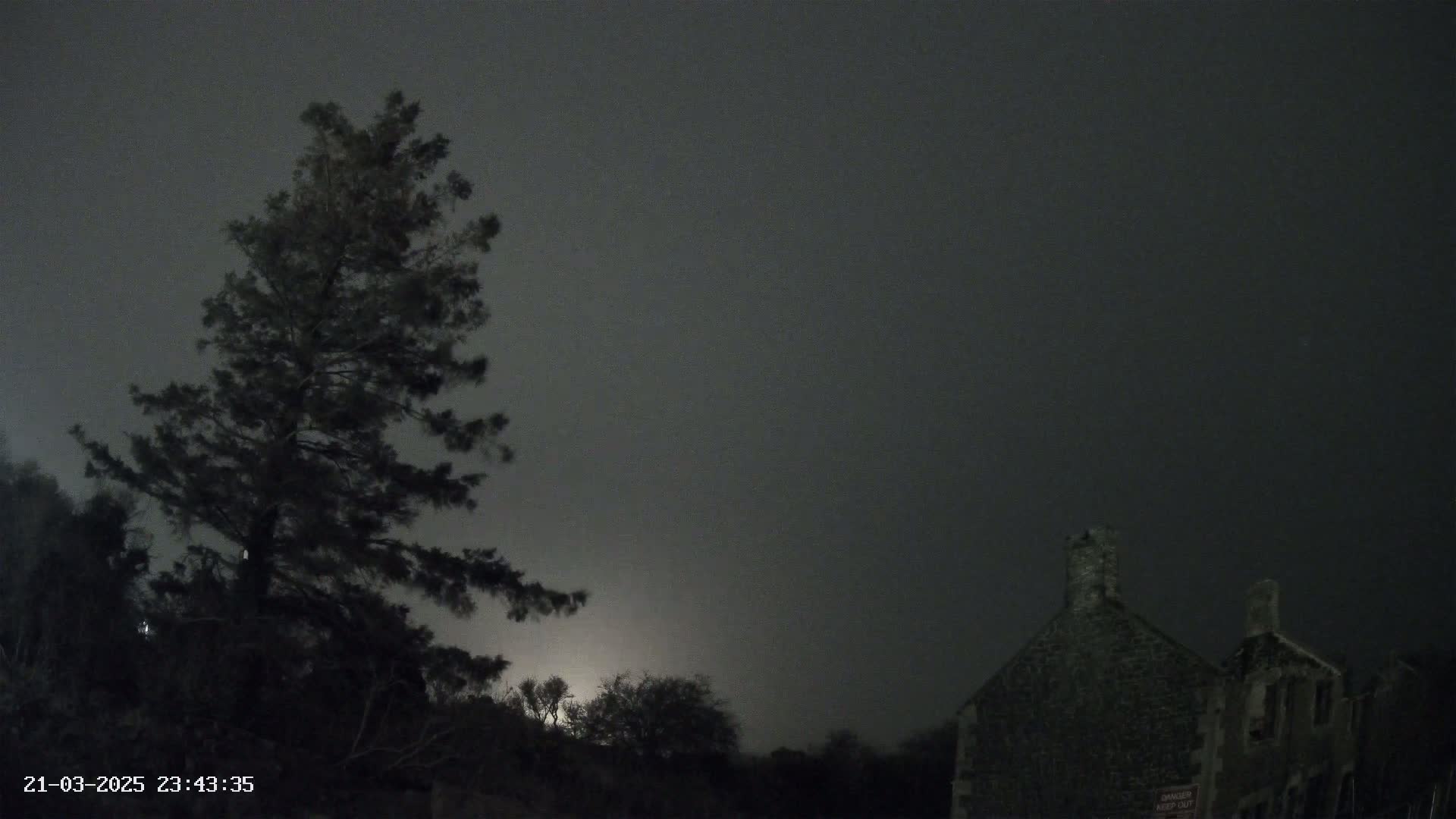 A tall, dark pine tree stands to the left of a stone building under a dark, overcast night sky.