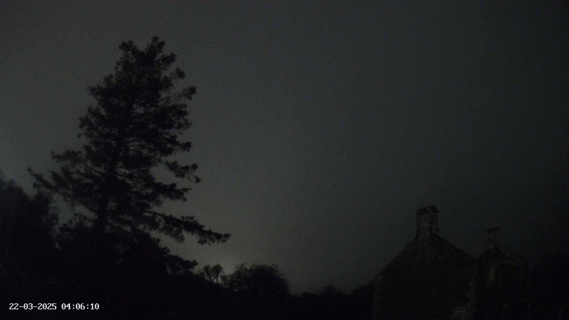 A tall, dark tree stands silhouetted against a foggy, night sky, next to a dark stone building.