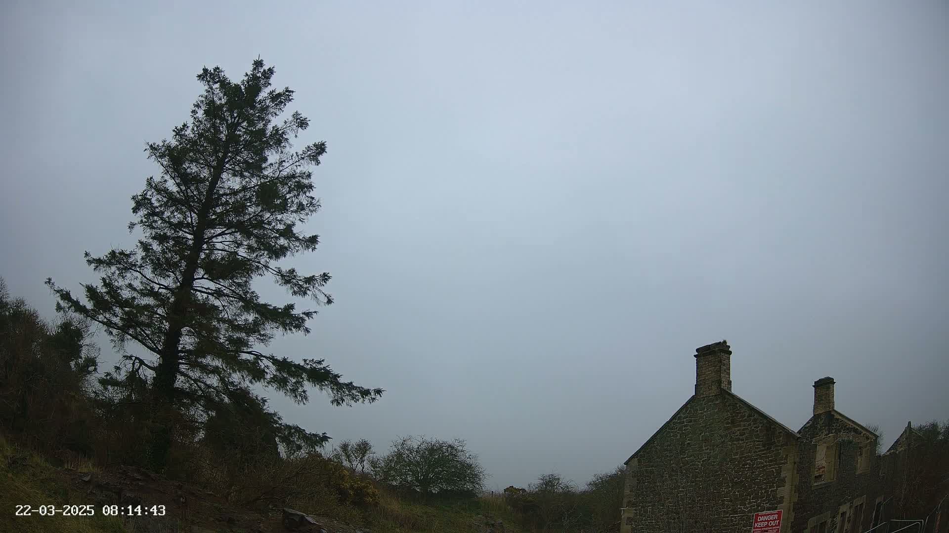 A tall, dark evergreen tree stands to the left of a stone building under a cloudy, overcast sky.