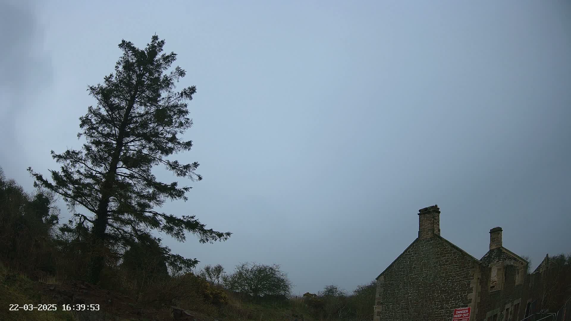 A tall, dark evergreen tree stands to the left of a partially ruined stone building under a pale, overcast sky.