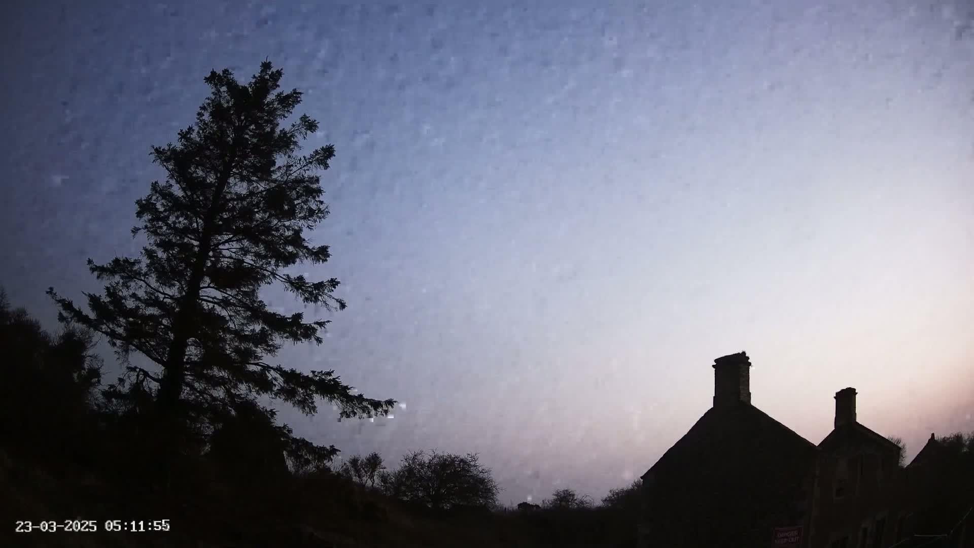 A tall, dark evergreen tree stands to the left of a silhouetted house under a twilight sky.