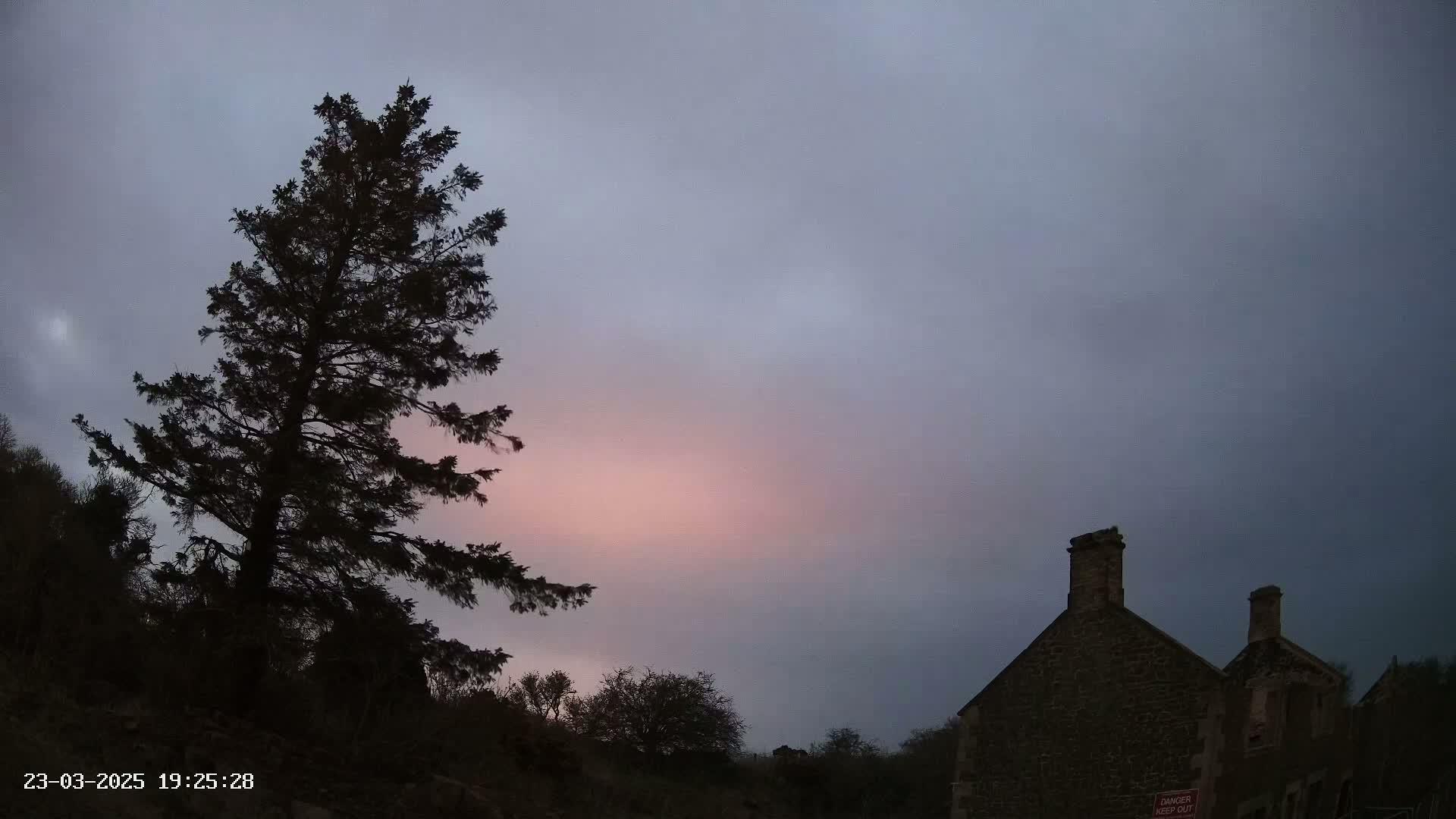 A tall, dark evergreen tree stands silhouetted against a pale pink and gray twilight sky, next to a stone building.