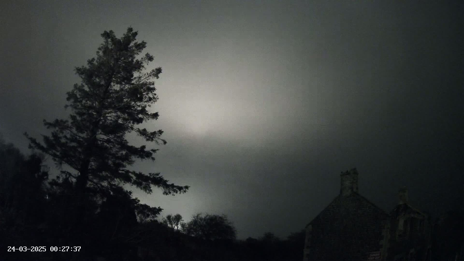 A tall, dark evergreen tree stands to the left of a dark stone building under a heavily overcast sky.