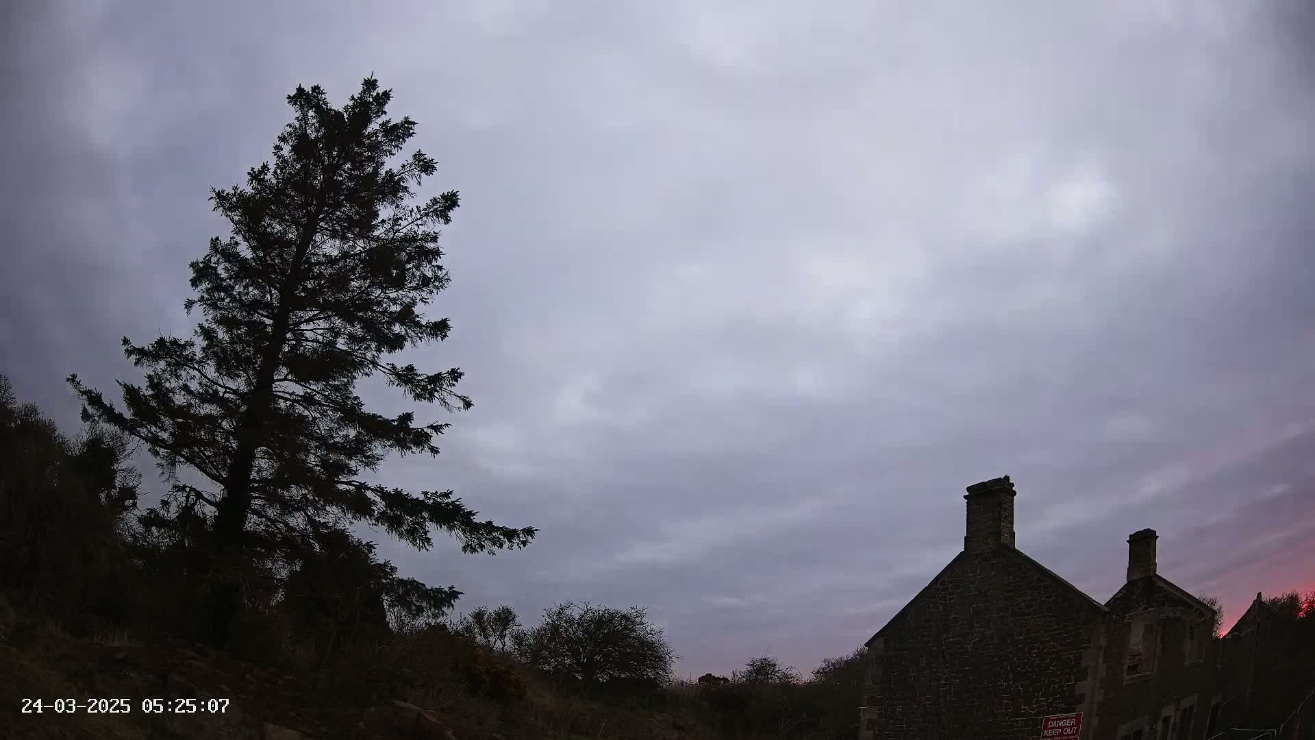 A tall, dark evergreen tree stands to the left of a stone building under a cloudy, overcast sky.