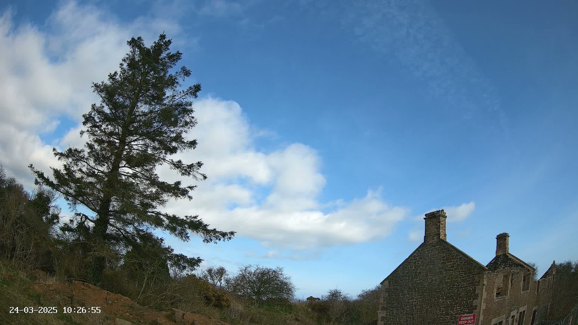 A tall evergreen tree stands to the left of a partially ruined stone building under a mostly clear blue sky with scattered white clouds.