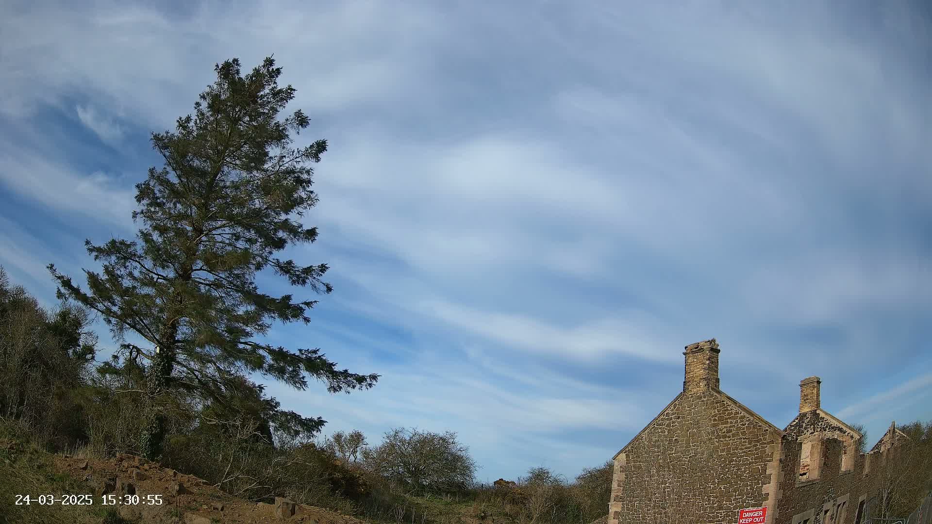 A tall pine tree stands to the left of a partially ruined stone building under a mostly clear, bright blue sky with wispy clouds.