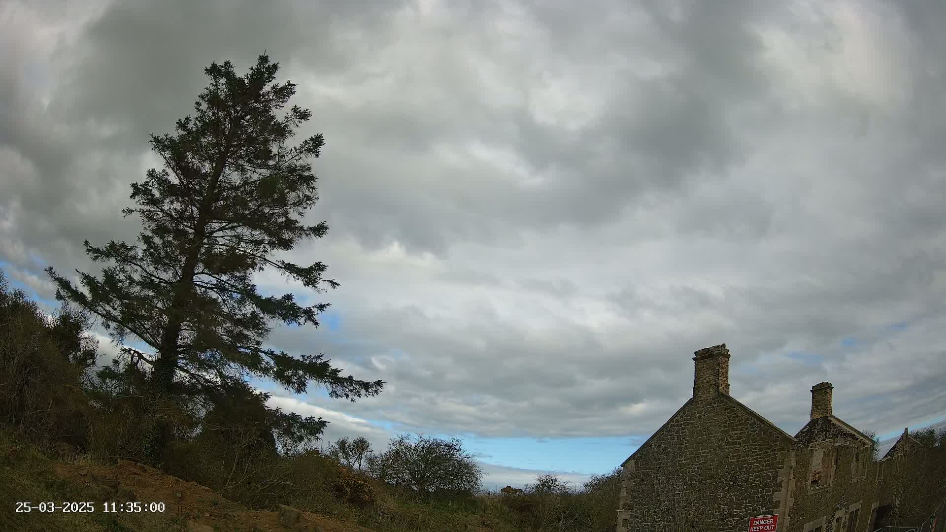 A tall evergreen tree stands to the left of a stone building under a mostly cloudy sky with patches of blue.