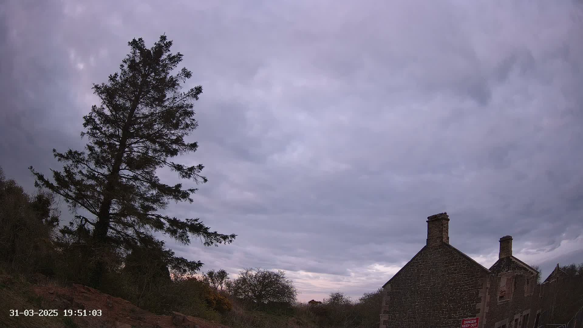 A tall, dark evergreen tree stands to the left of a stone building under a mostly cloudy, overcast sky.