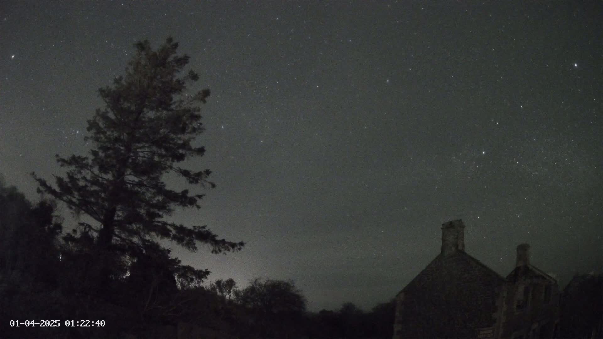 A tall, dark tree stands to the left of a dark stone building under a night sky filled with stars.