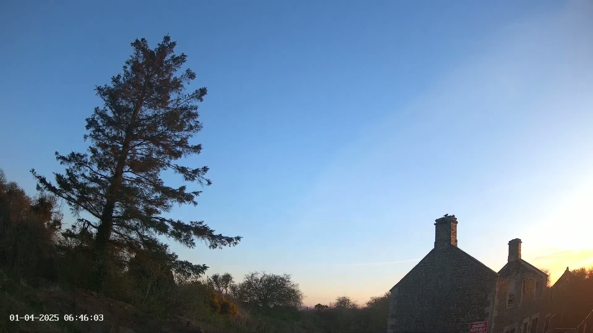 A tall, dark evergreen tree stands to the left of a stone building at sunset under a clear blue sky.