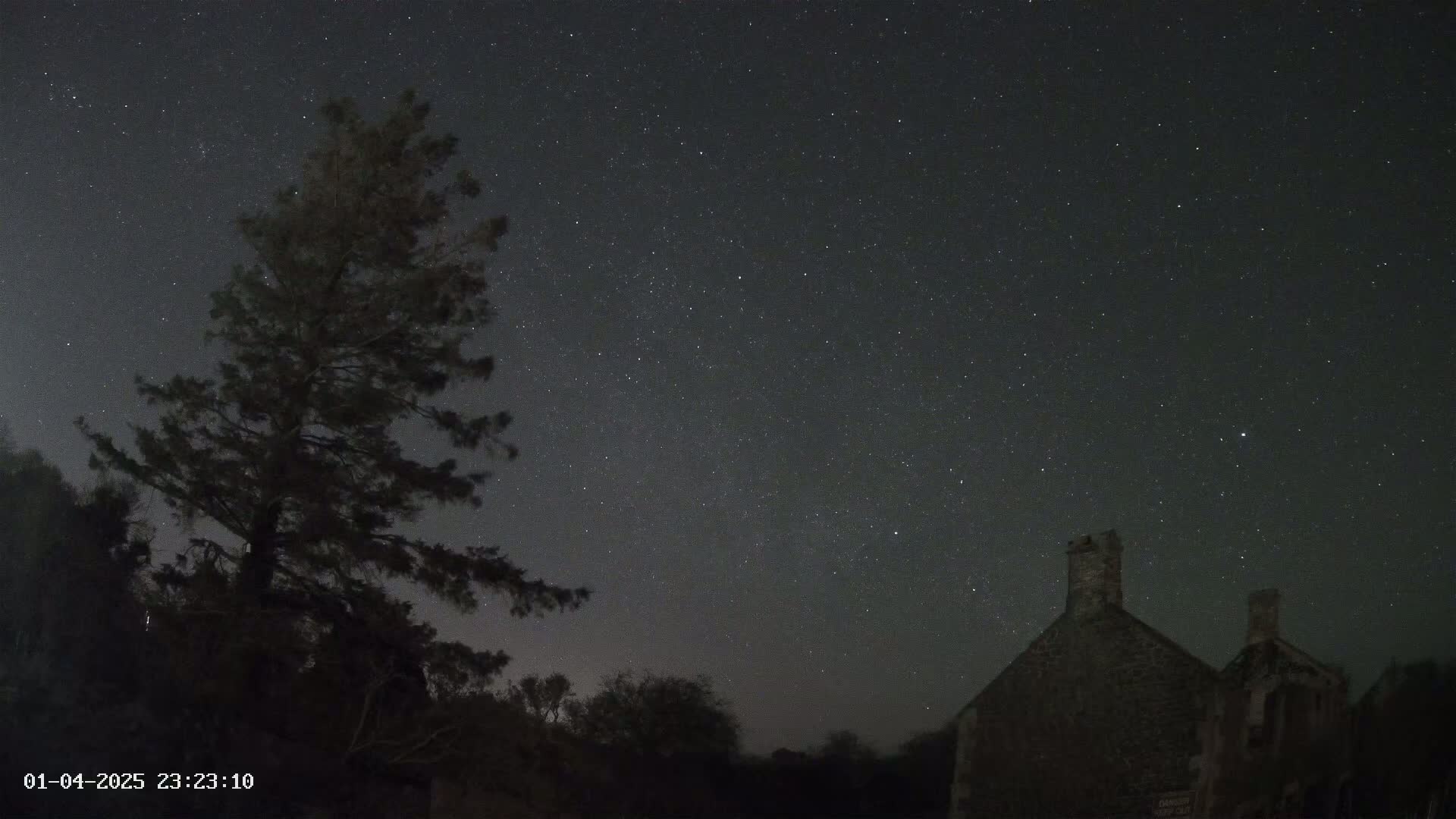 Under a clear, star-filled night sky, a tall, dark tree stands beside a stone building.