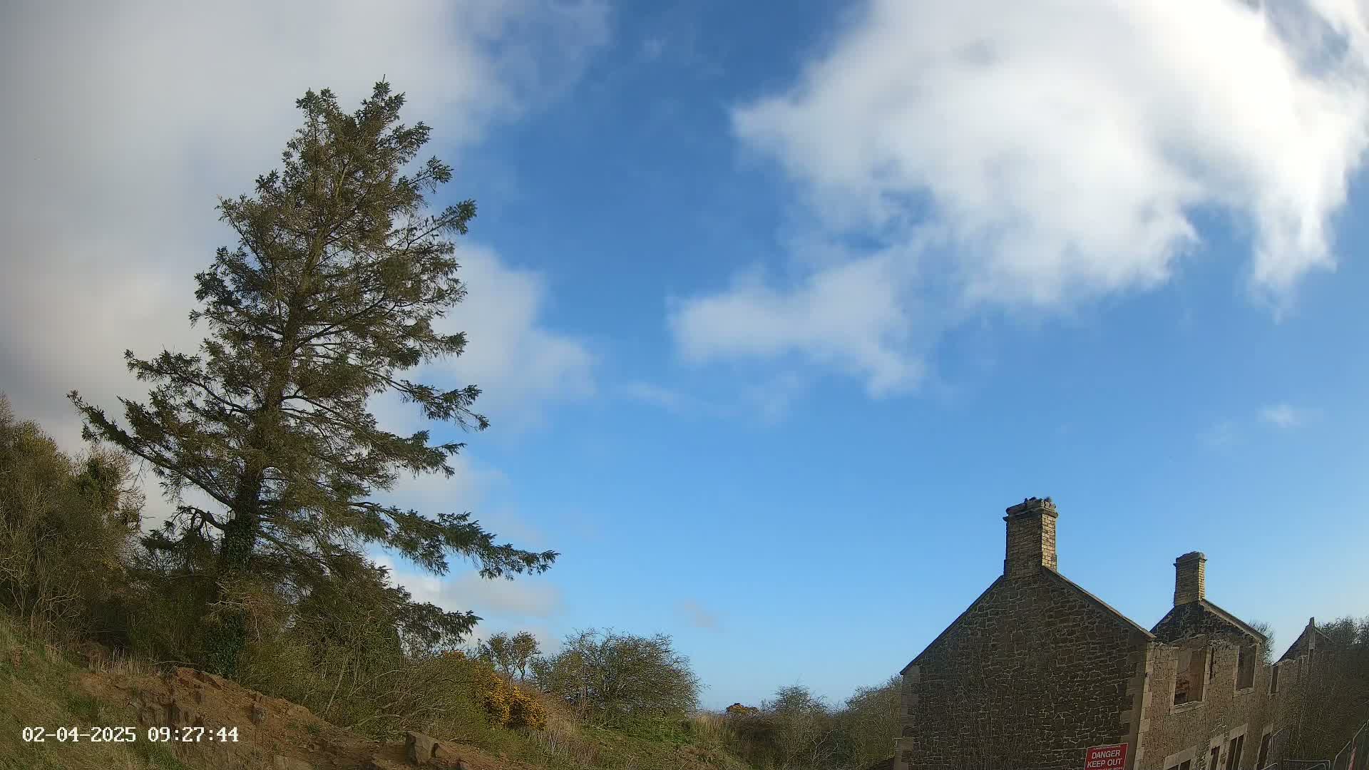 A tall evergreen tree stands to the left of a partially ruined stone building under a partly cloudy blue sky.