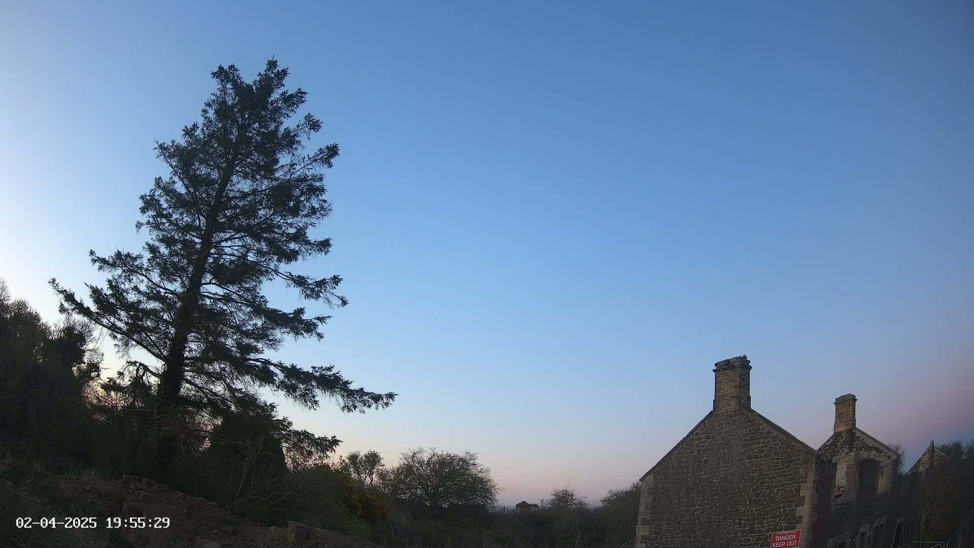 A tall, dark evergreen tree stands to the left of a stone building under a clear, twilight sky.