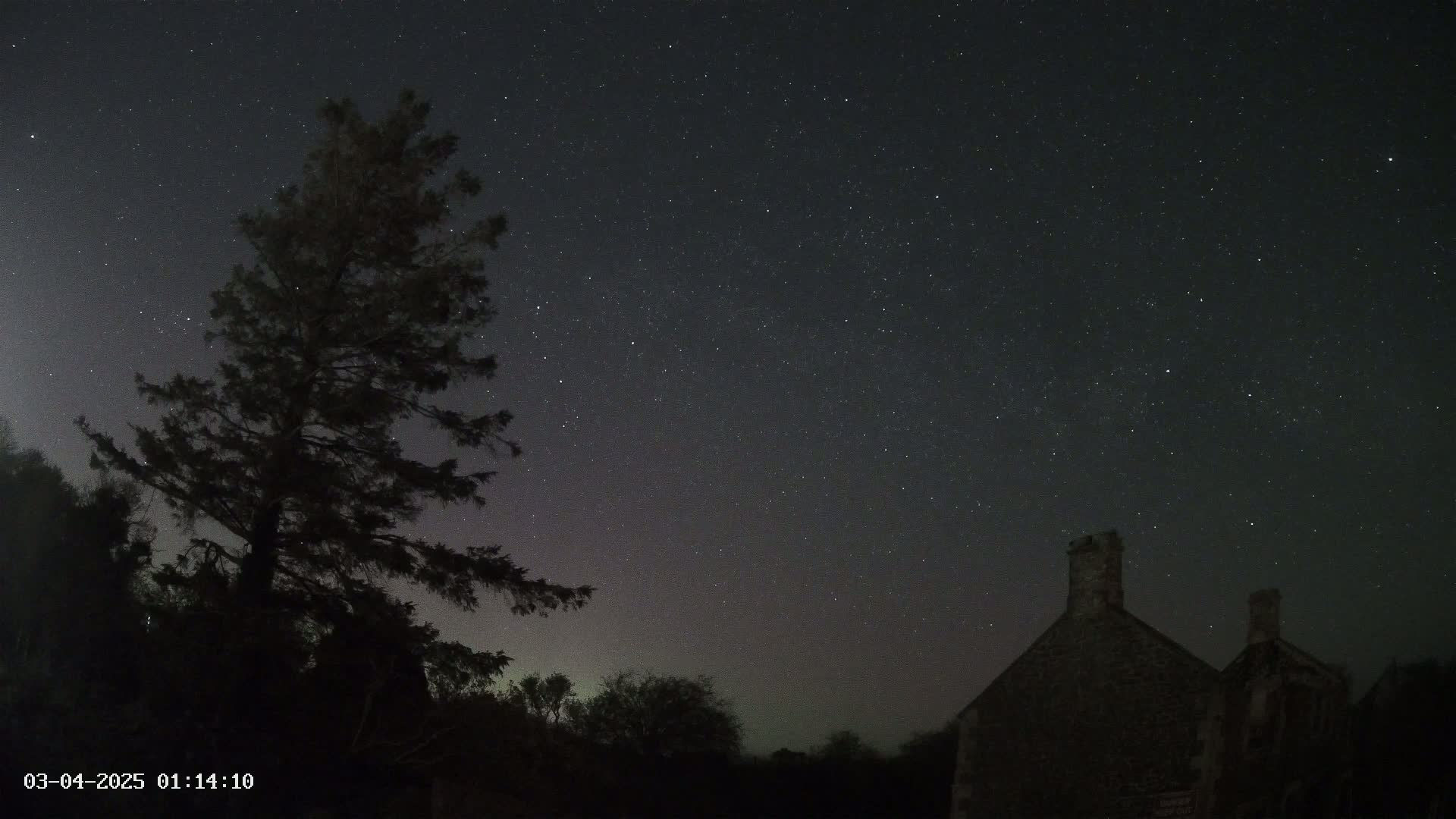 A tall, dark tree stands silhouetted against a night sky filled with stars and a faint aurora, beside a stone building under clear conditions.