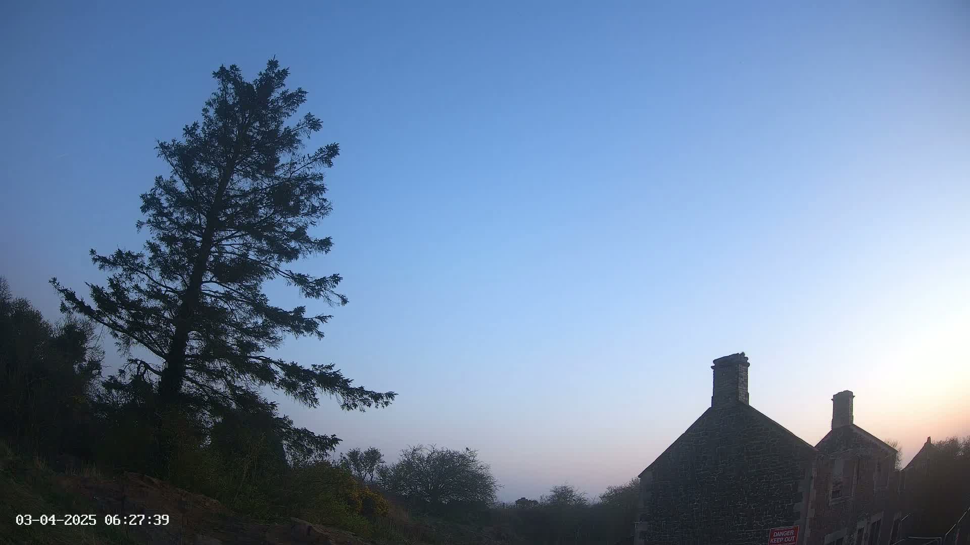 A tall, dark evergreen tree stands to the left of a stone building at dawn under a clear, light blue sky.
