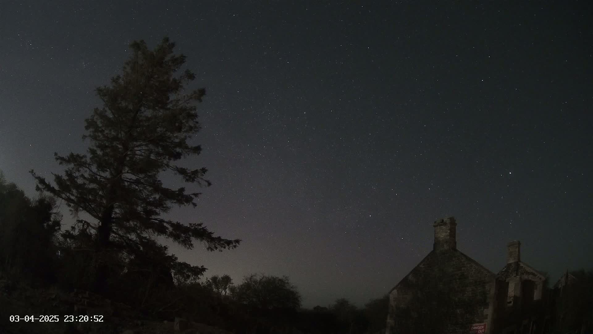A tall, dark tree stands to the left of a stone building under a clear, starry night sky.