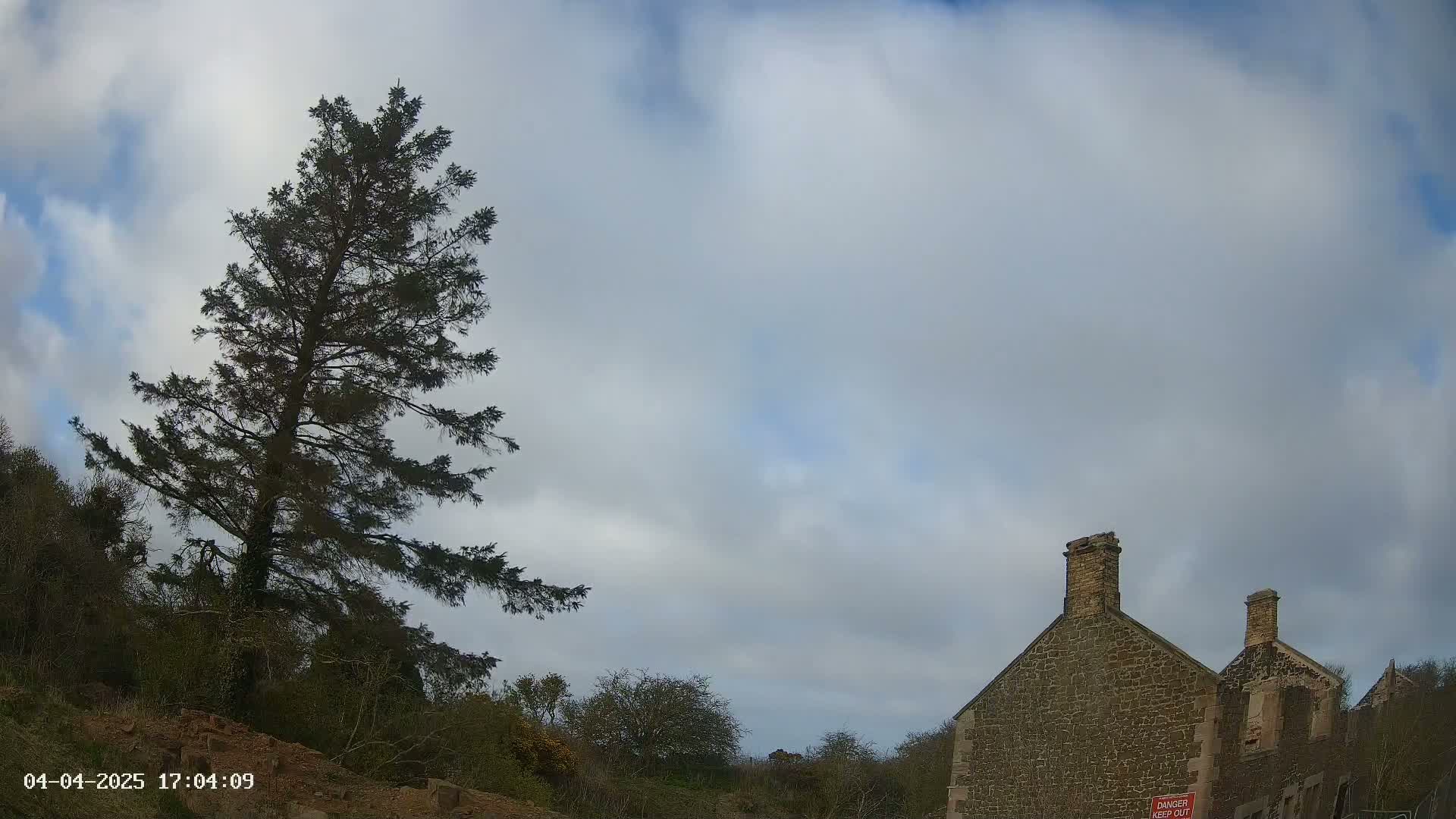 A tall, dark evergreen tree stands to the left of a partially ruined stone building under a mostly cloudy sky.